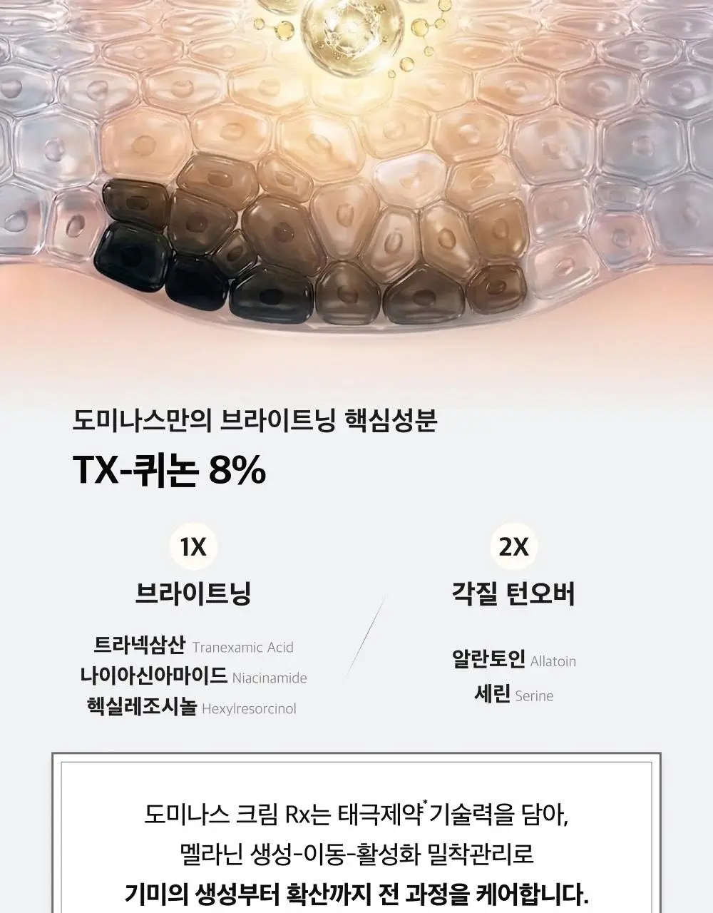 [태극제약]도미나스 크림 Rx 30ml 기획 (+7ml) 상세페이지 13